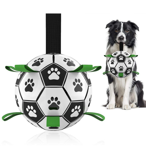 Interactive Soccer Ball for Dogs